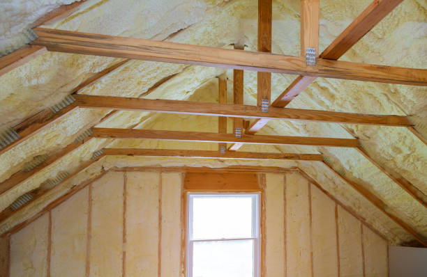 Best Cellulose Insulation  in Hackleburg, AL