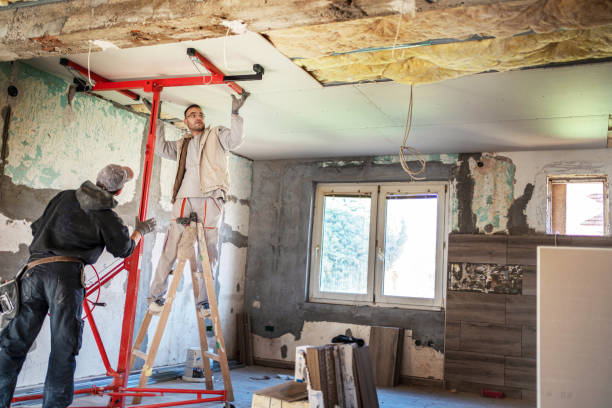 Best Professional Insulation Contractor  in Hackleburg, AL