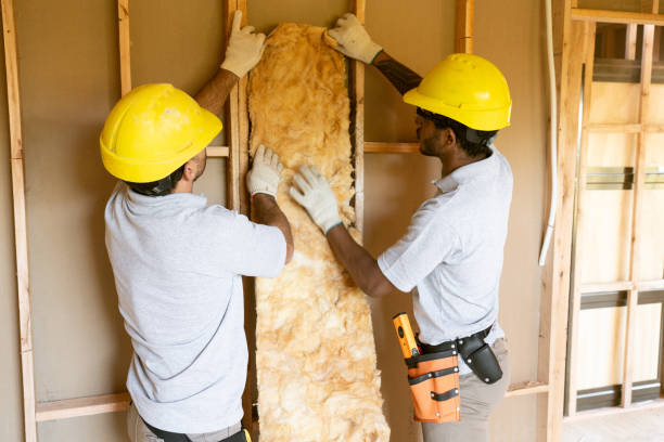 Best Insulation for New Construction  in Hackleburg, AL