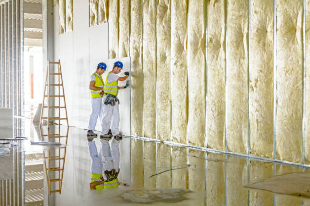 Best Insulation Contractors for Homes  in Hackleburg, AL